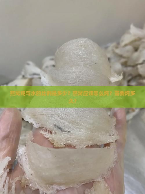 燕窝炖与水的比例是多少