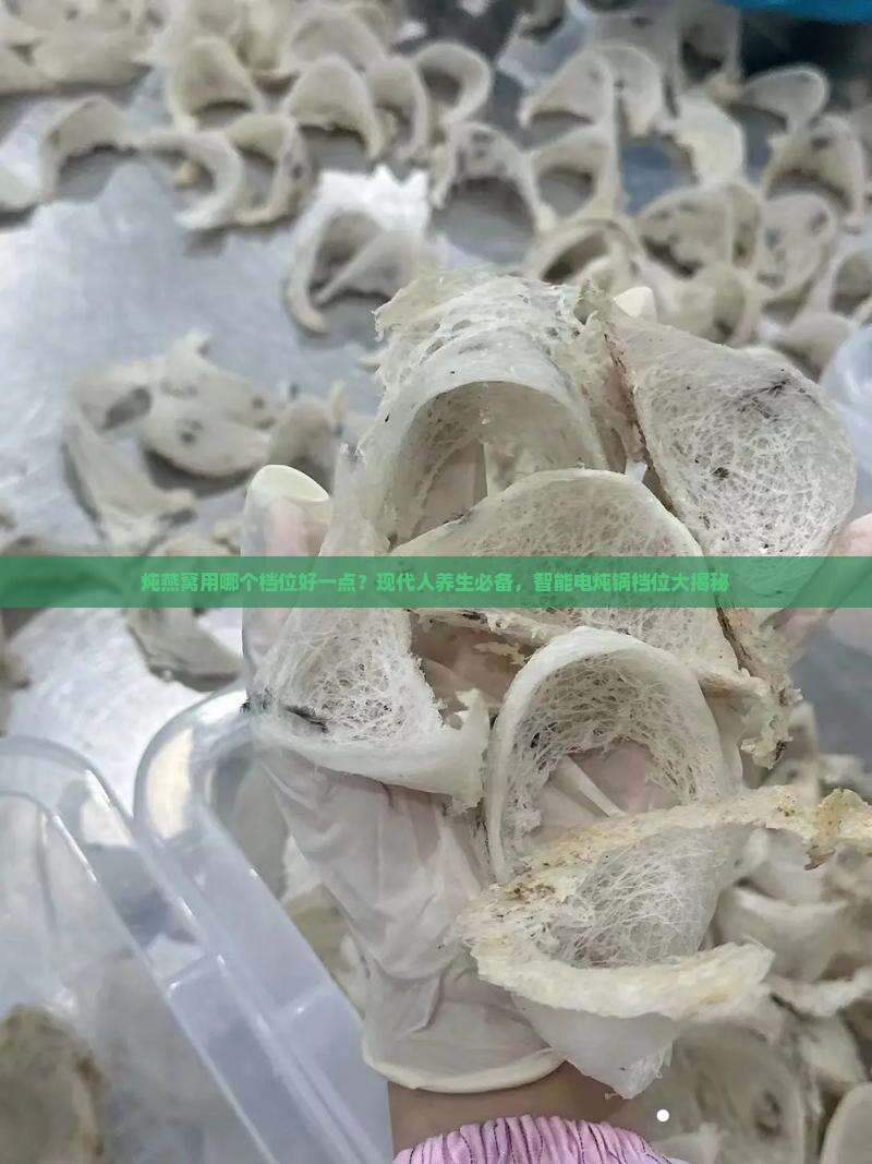 炖燕窝用哪个档位好一点