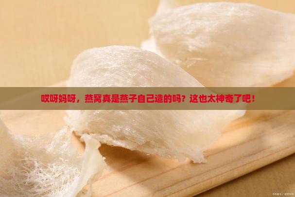 燕窝是燕子怎么形成的