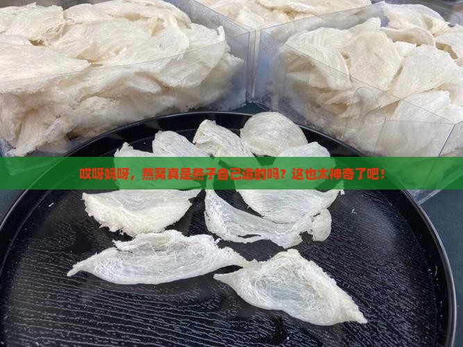 燕窝是燕子怎么形成的