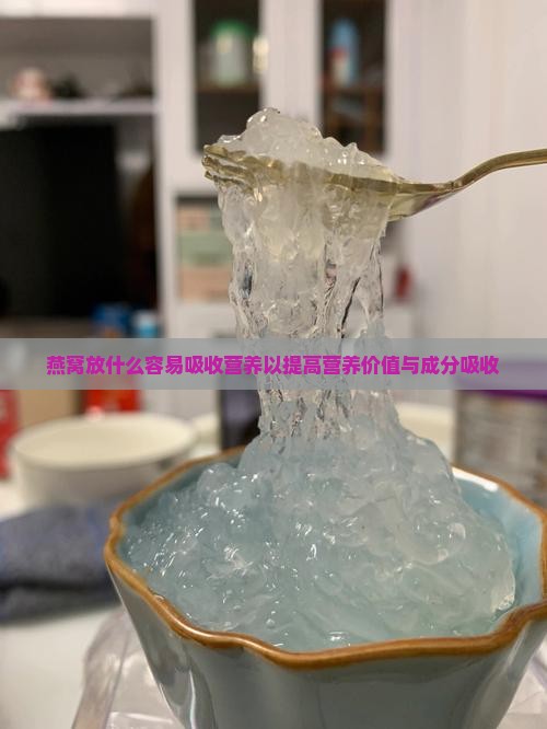 燕窝放什么容易吸收营养