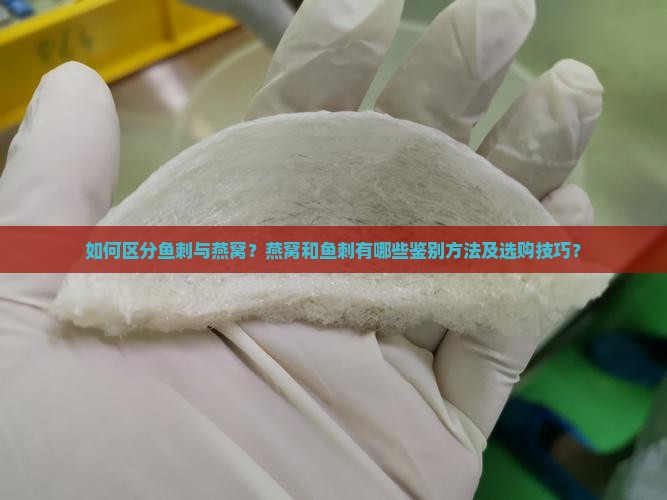 鱼刺和燕窝怎么区分出来