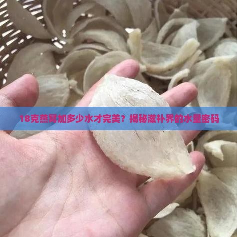 18克的燕窝放多少水炖
