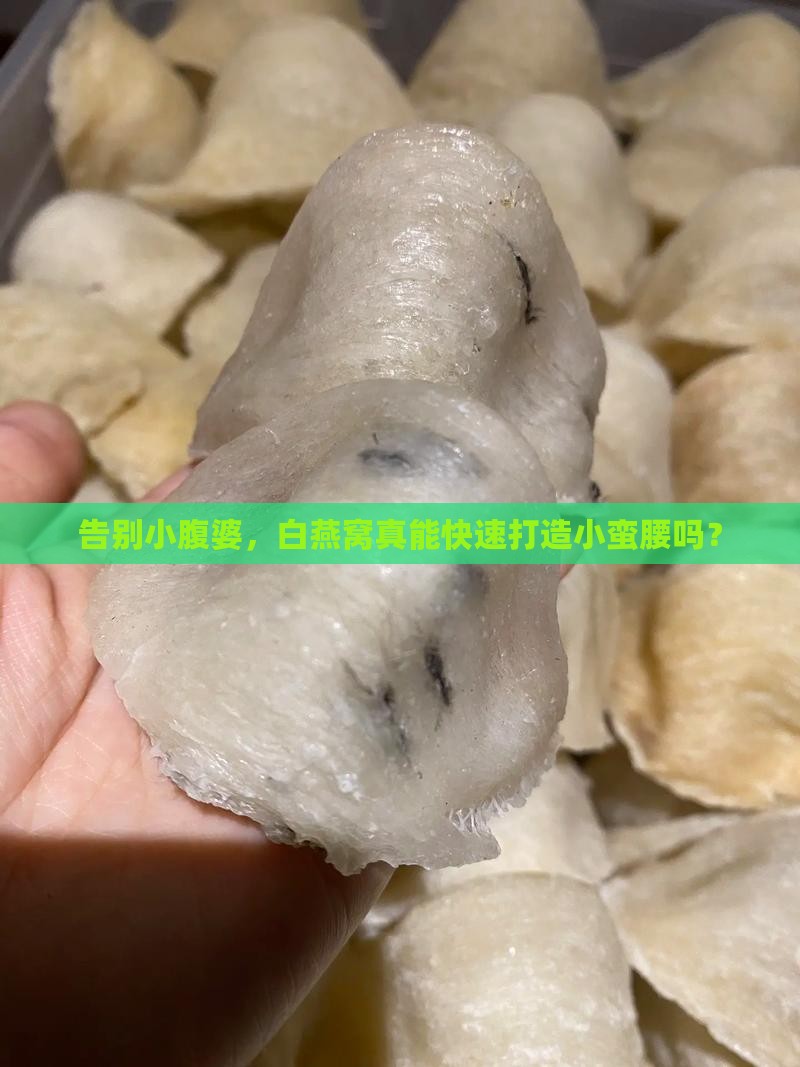 白燕窝怎么瘦肚子最快