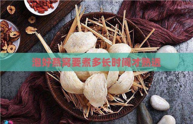 泡好燕窝要煮多久才熟透