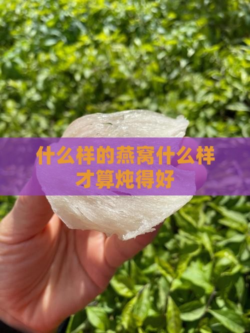 什么样的燕窝算炖得好呢