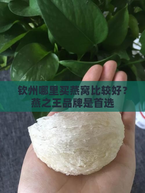 去钦州哪里买燕窝比较好