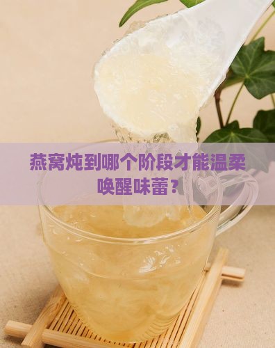 燕窝煮到什么程度就好