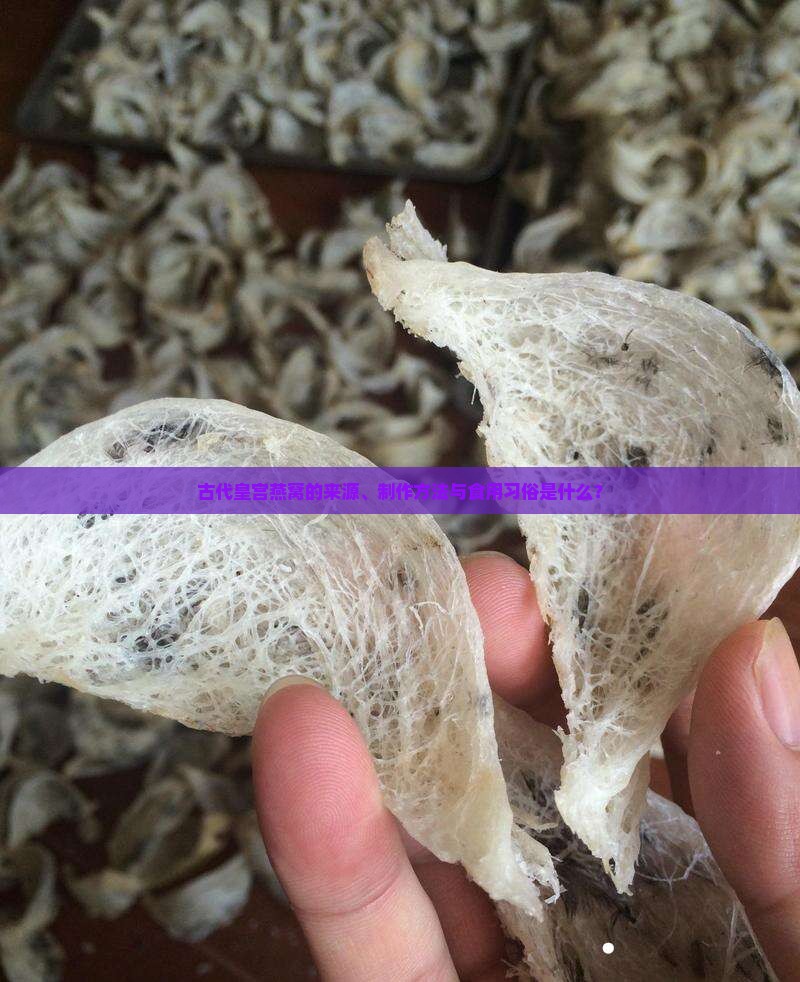 古代皇宫的燕窝是什么