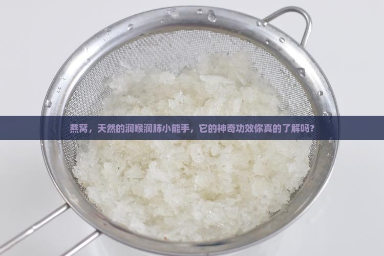 燕窝润喉润肺功效怎么样
