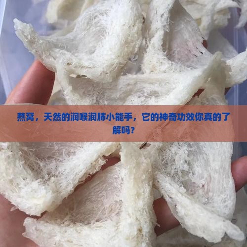 燕窝润喉润肺功效怎么样