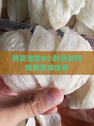 燕窝泡8个小时后怎么做