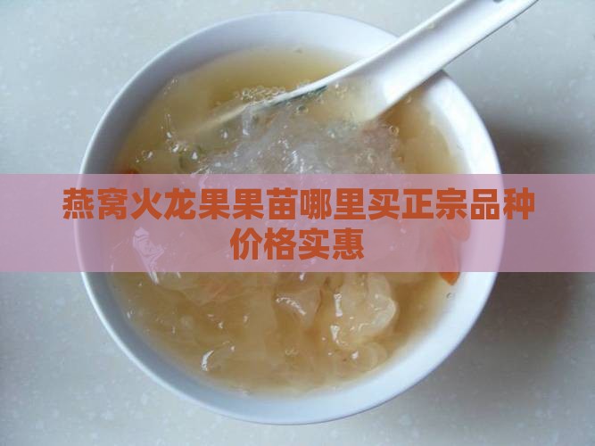 燕窝果苗哪里买正宗品种