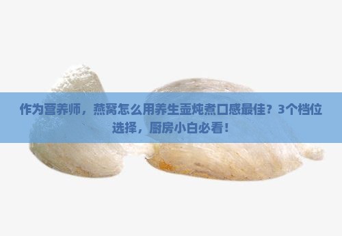 养生壶煮燕窝什么档最好
