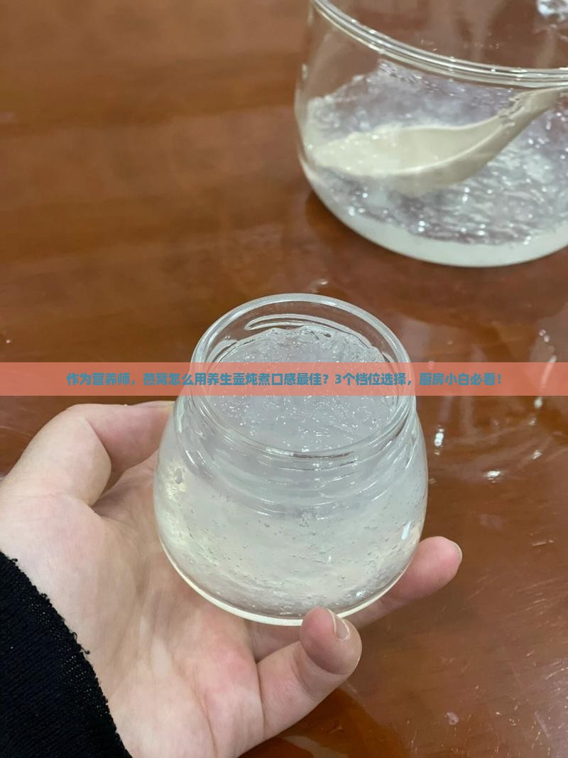 养生壶煮燕窝什么档最好