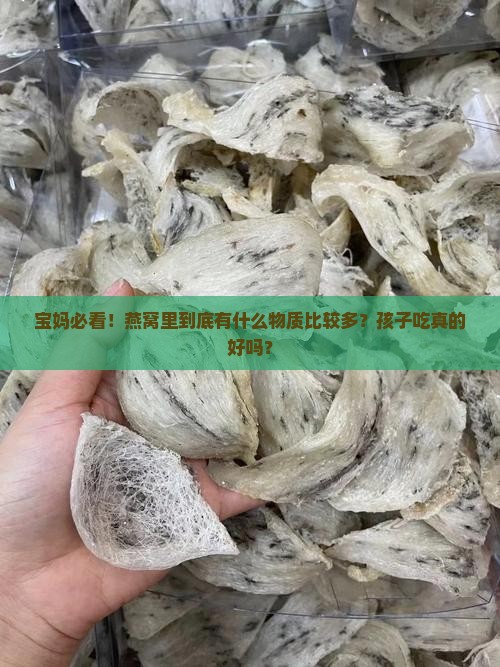 燕窝内含什么物质比较多