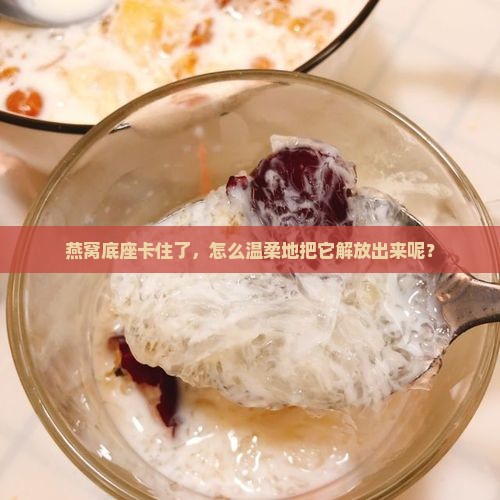 家里燕窝底座怎么拆卸