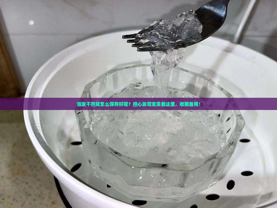 泡发干燕窝怎么保存好呢