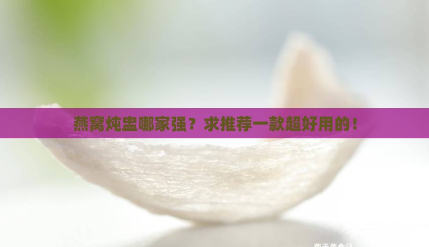 燕窝炖盅推荐哪个好用的
