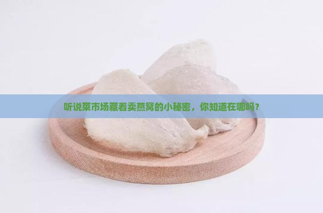 菜市场哪里有燕窝卖的