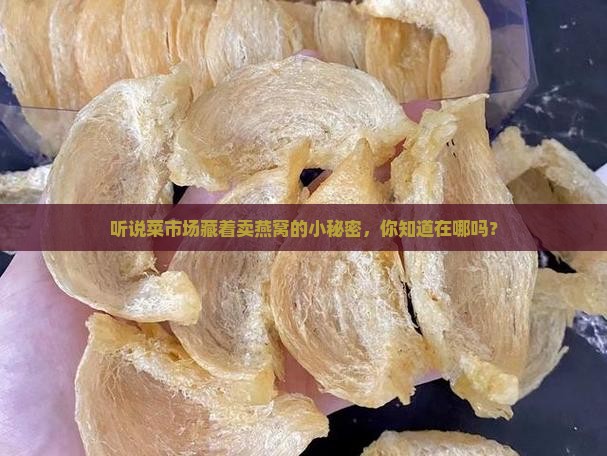 菜市场哪里有燕窝卖的