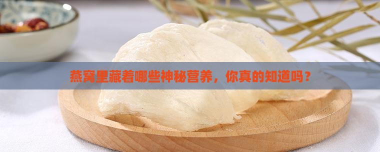 燕窝里面还有什么营养