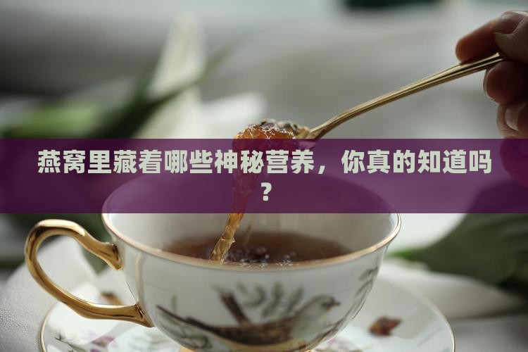 燕窝里面还有什么营养