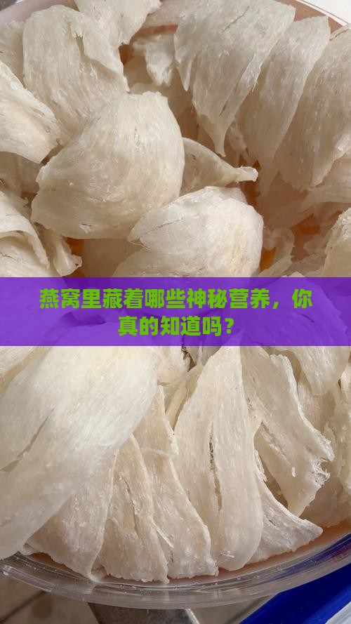 燕窝里面还有什么营养