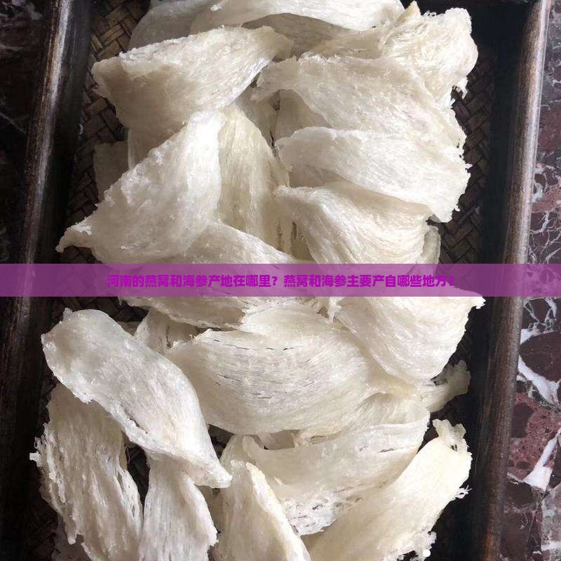 河南燕窝海参产地在哪里