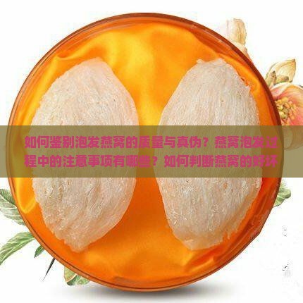 泡发燕窝怎么分别好坏呢