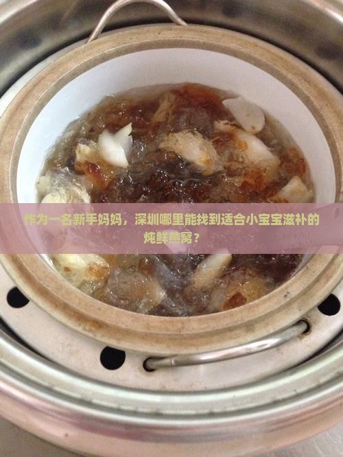 深圳炖鲜燕窝的地方在哪里