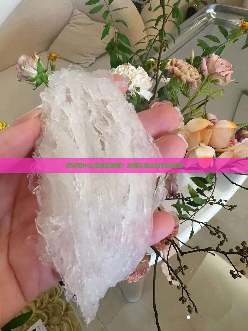 燕窝用什么花泡最好呢