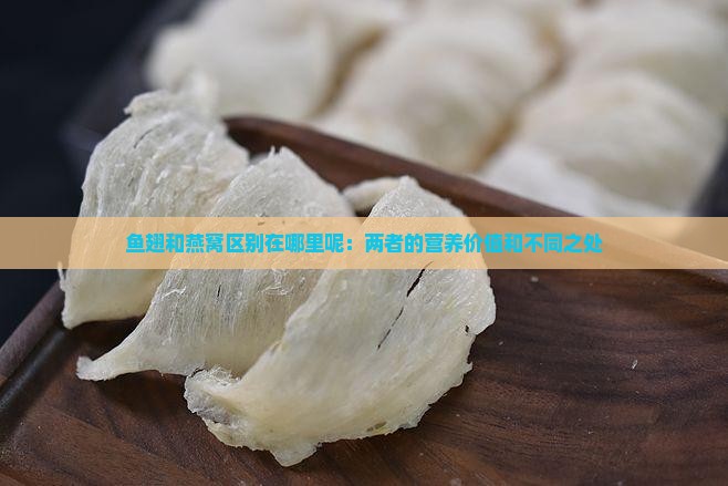鱼翅和燕窝区别在哪里呢