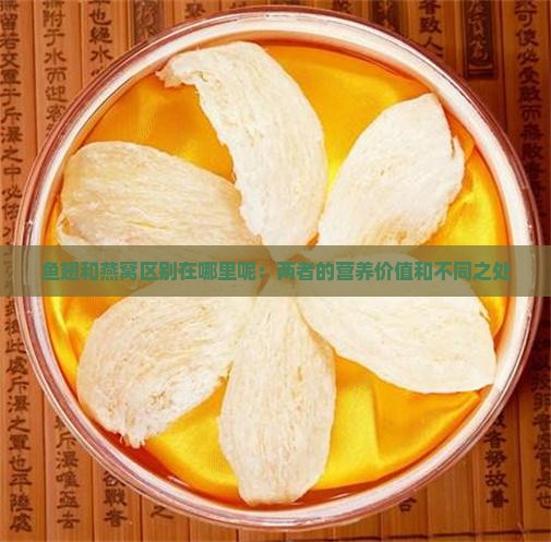 鱼翅和燕窝区别在哪里呢