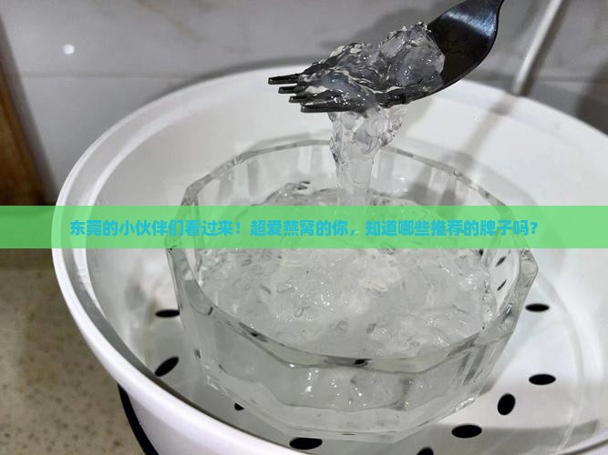 东莞燕窝推荐牌子有哪些