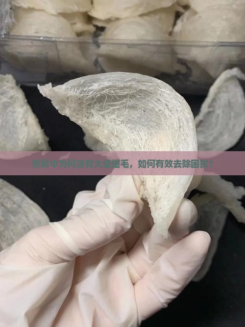 燕窝好多细细毛怎么办