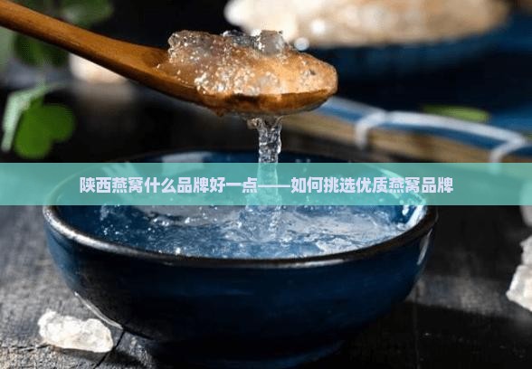 陕西燕窝什么品牌好一点