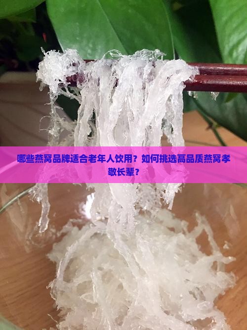 什么燕窝值得送老人喝