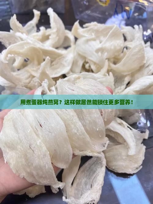 煮蛋器怎么炖燕窝最好呢