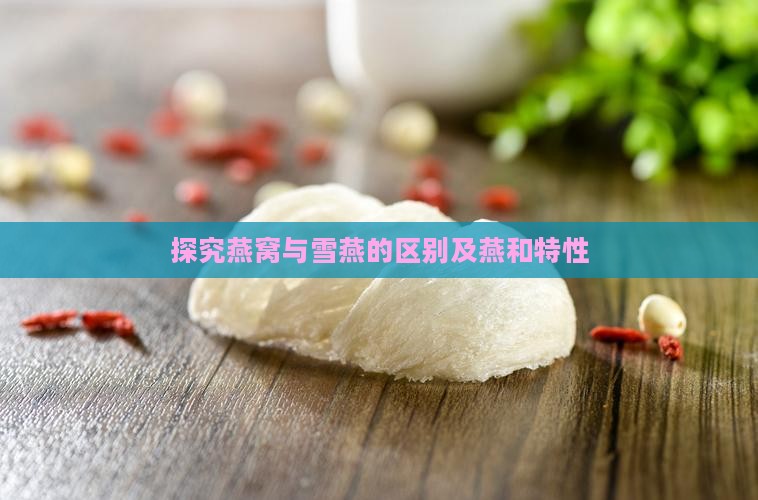 雪燕和燕窝有哪个不同