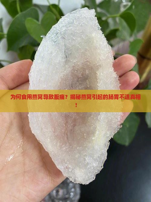 喝燕窝闹肚子是怎么回事