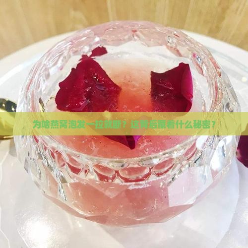 为什么燕窝泡发一拉就断
