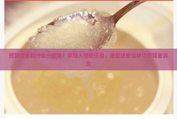 燕窝适合和什么一起煲
