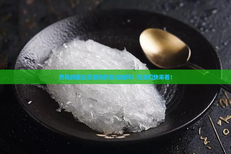 燕窝的蛋白质量怎么样