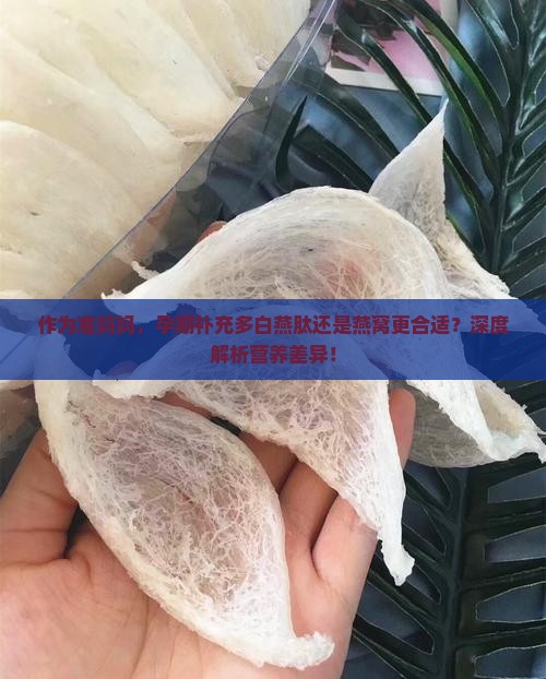 多白燕肽和燕窝哪个好