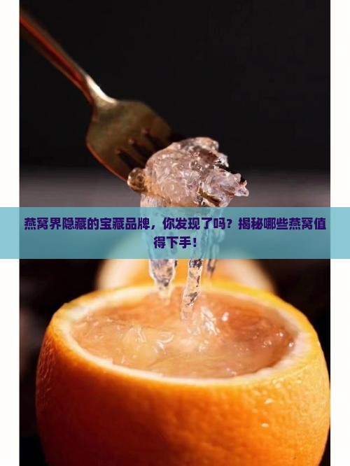 买燕窝哪些品牌比较好