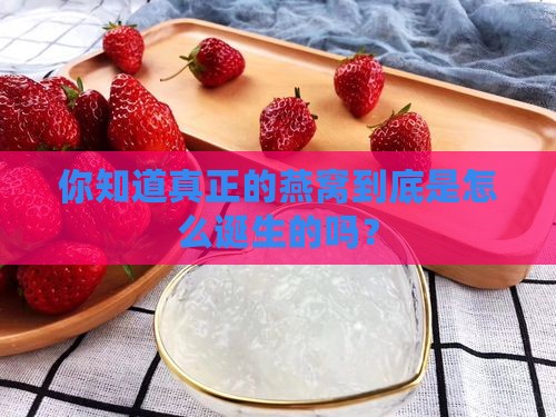 真正燕窝是怎么形成的呢
