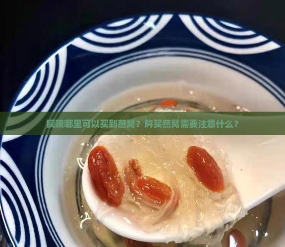 铜陵哪里可以买到燕窝呢 铜陵哪里可以买到燕窝呢
