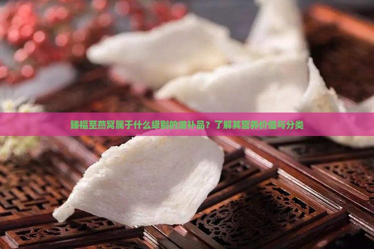 臻福至燕窝属于什么级别