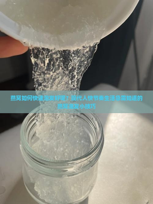 燕窝如何快速泡发好呢